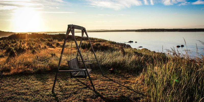 光影与音符的诗篇：五部不容错过的艺术MTV推荐