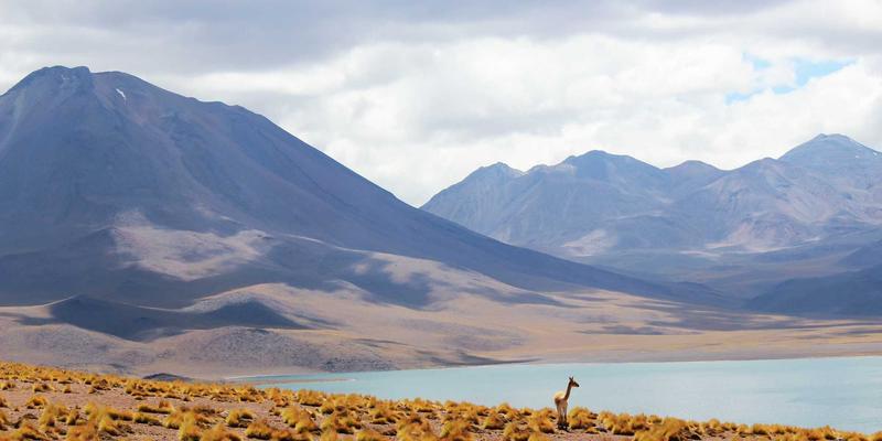导演与摄影的禅意美学：如何通过沉浸式声景可视化打造冥想性空间体验