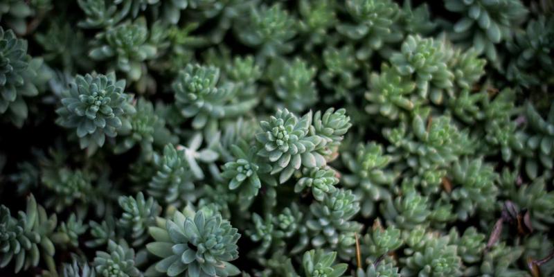 当镜头邂逅舞步：艺术MTV与当代舞蹈如何用身体语言诠释抽象音乐