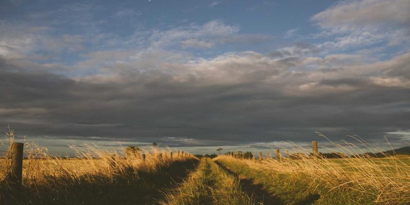 影像艺术中的禅意解构：后现代MTV的拼贴、戏仿与意义消解