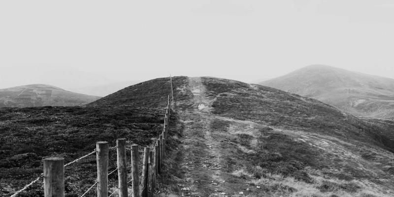 算法与视觉的共鸣：数字生成艺术如何为艺术MTV注入禅意美学