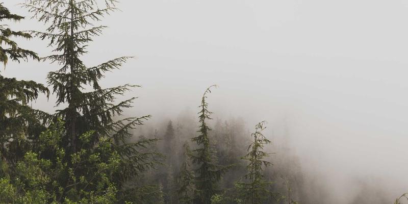 艺术MTV:影像与视觉艺术的跨界革命