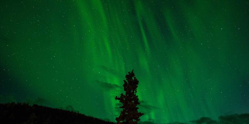 视觉艺术与独立音乐的跨界共振：艺术MTV中声音可视化拓扑的抽象美学