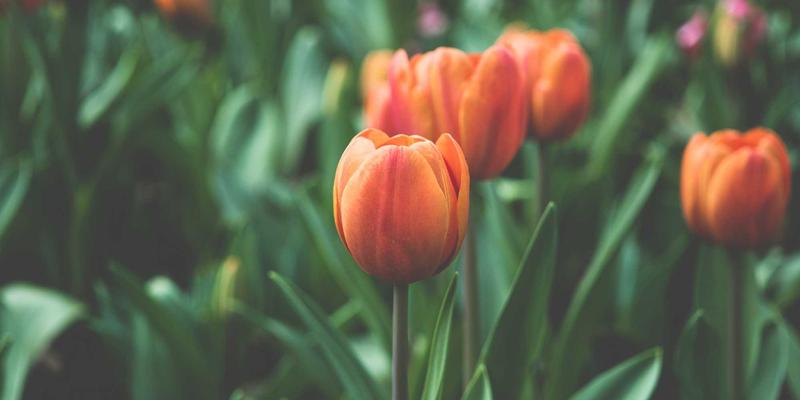 视觉艺术中的禅意美学：VHS、像素与故障艺术在当代影像艺术中的诗意复兴